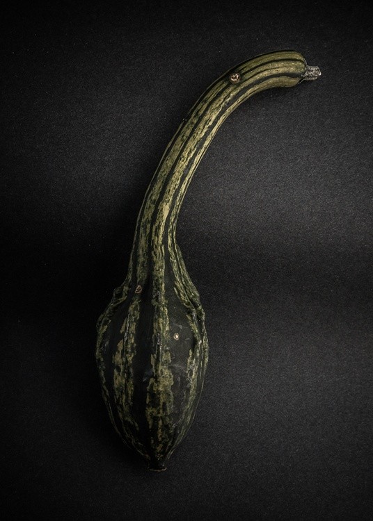 Gourds No 10 Color Version