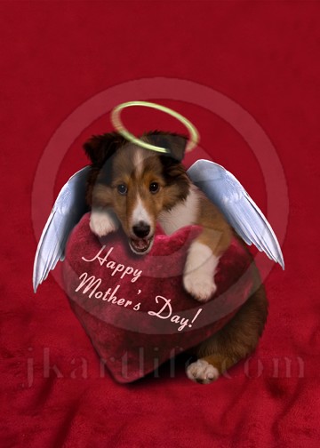 Mother's Day Angel Puppy 906885