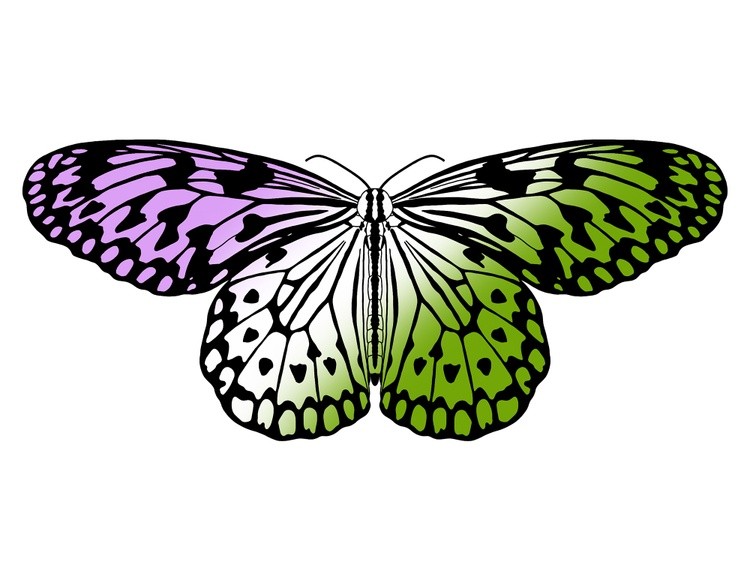 LGBTQIA+ Butterflies: Genderqueer