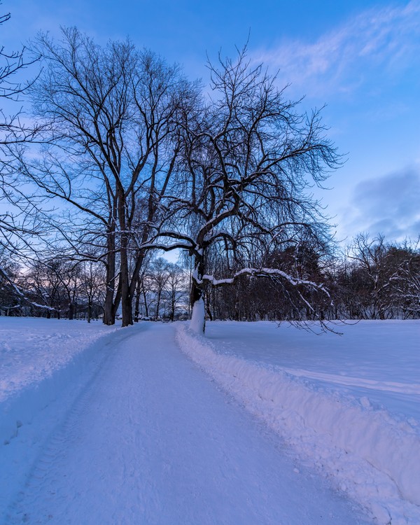 Peaceful path