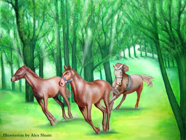 Forest Horses