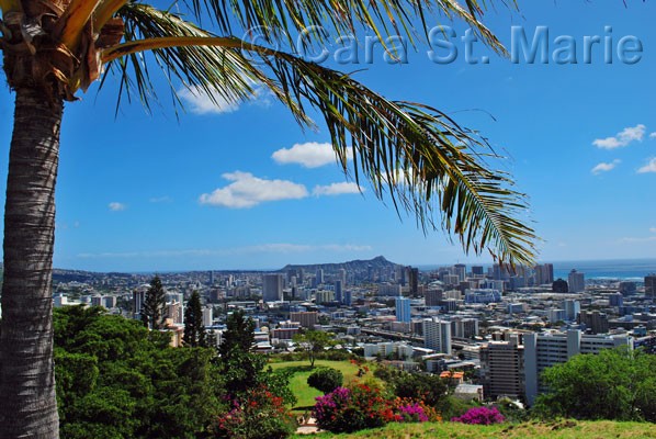 Palm View from Punchbowl