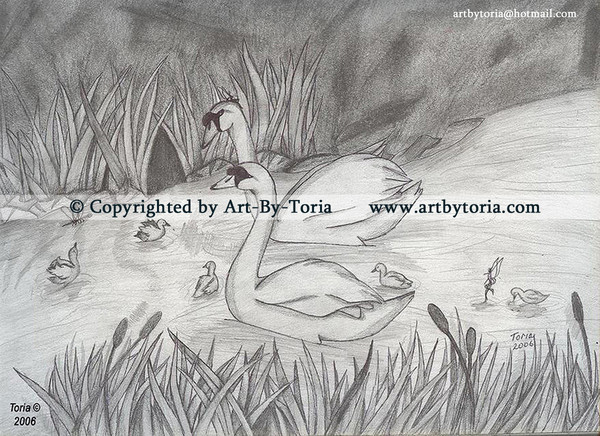 Graphite Swans, babies and water sprites