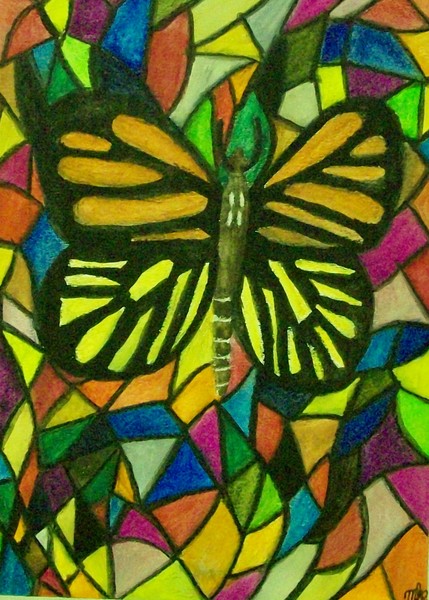 A Colorful Butterfly