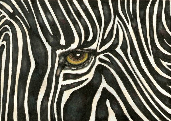 Black White Striped Zebra Eye