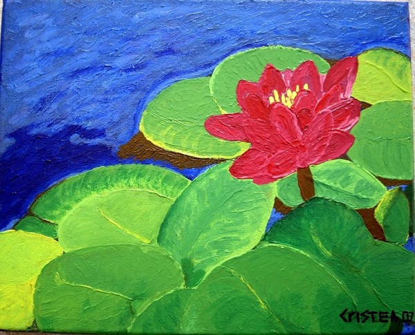 Water Lilly