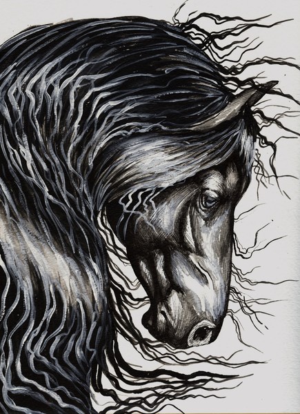 Horse Art Giclee Print On Canvas