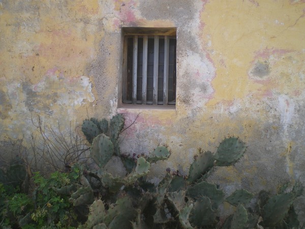 Janela na Ilha de Gorée I