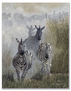 Fifteen Zebras