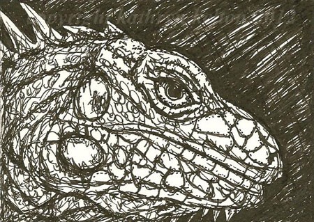 Iguana In Ink ACEO
