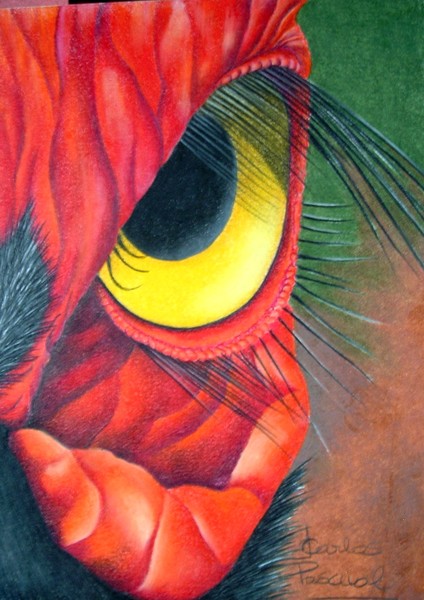 Hornbill's eye