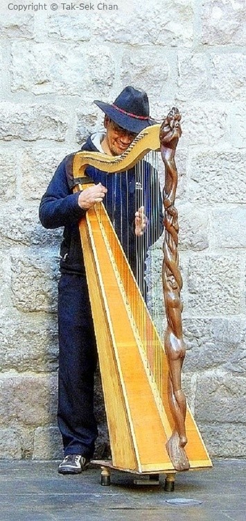Harpist, Barcelona, Spain 01-05-2015