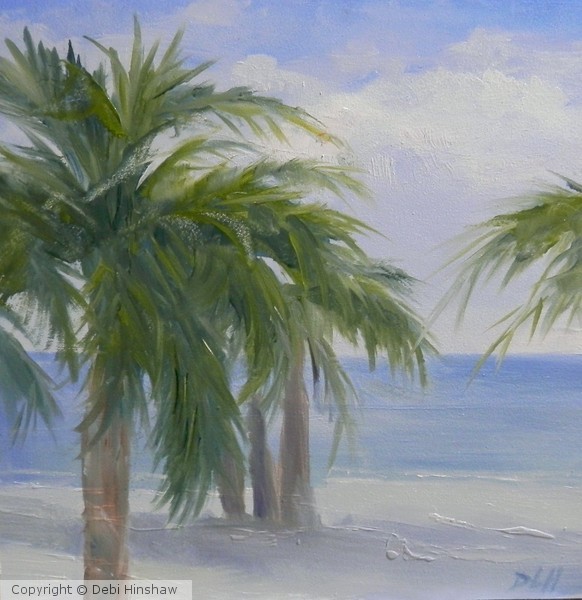 Beach and Palm Trees