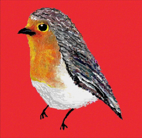 British Red Robin with bright red background