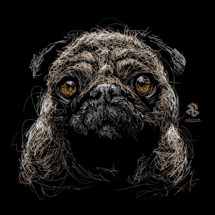 Scribble Art Portrait - Budoy (pug)