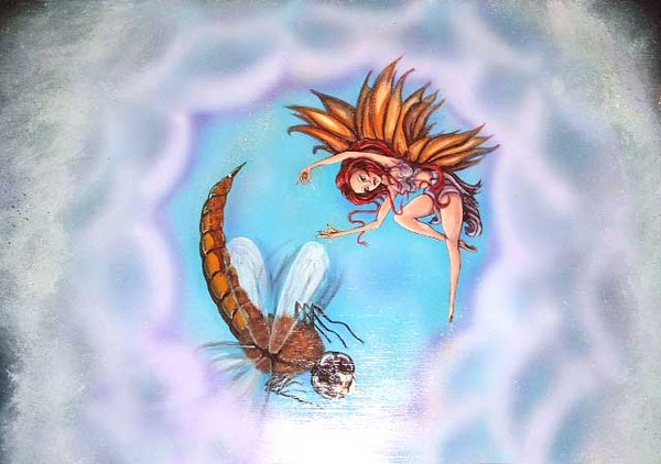 fairy & dragonfly