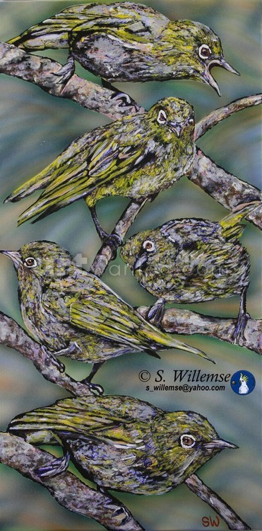 Witoogies Art Australian Birds Susan Willemse
