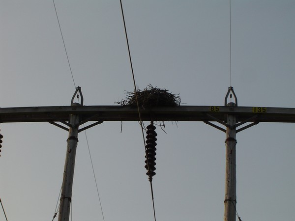 Eagle's Nest