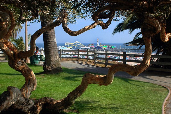 Santa Monica Bluff & Amusement Park