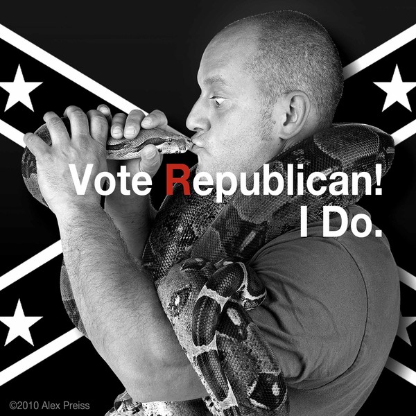 Vote Republican! 4