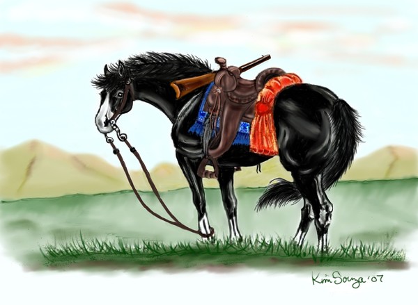 western horse