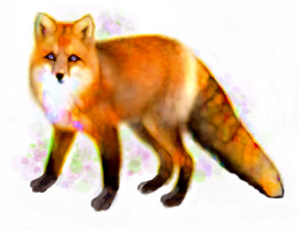 Red Spirit Fox