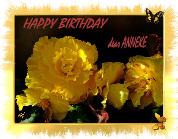 suntouched flowers for ANNEKE