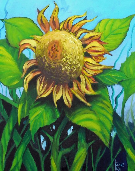 Morning sunflower
