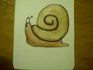 divination card, snail