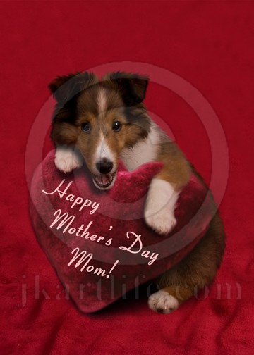 Mother's Day Mom Puppy 815856
