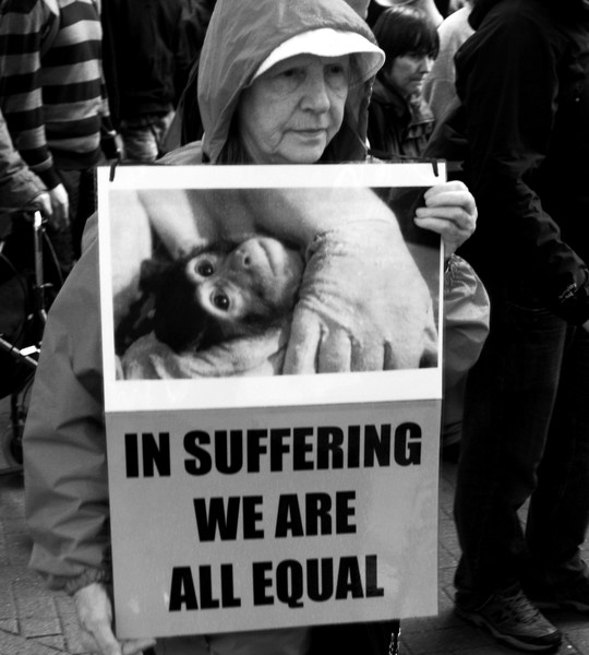 In Suffering We Are All Equal.