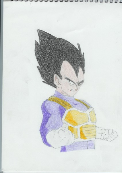 Vegeta Wounded