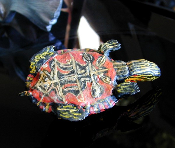 Painted Turtle Bottom