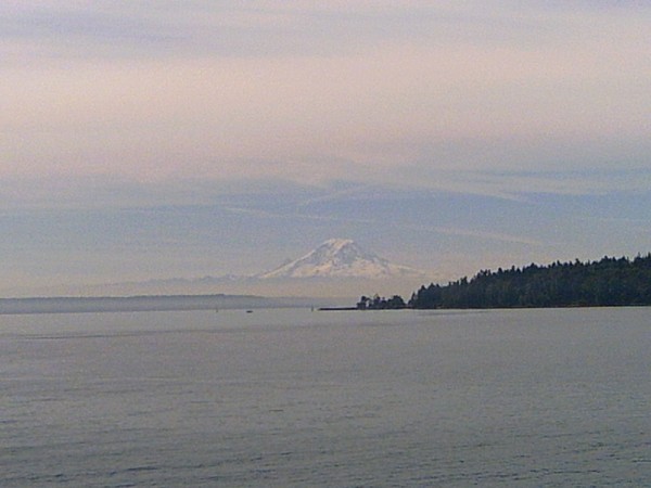 Mt Rainier View