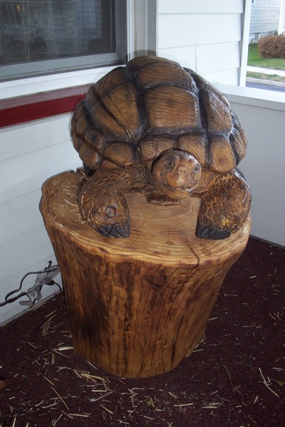 tortoise #2