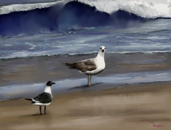 two beach birds