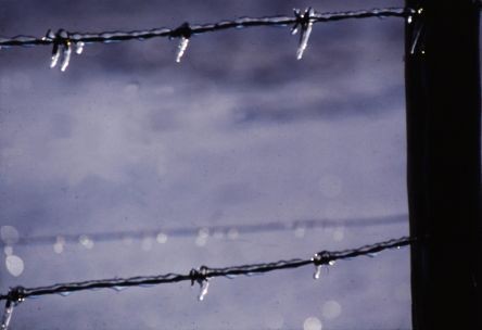 Icy Barbed Wire