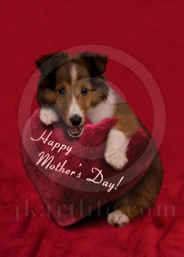Mother's Day Puppy 916381