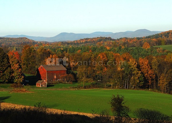 Red Barns IV