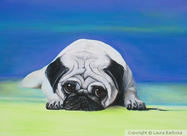 Pug Dog