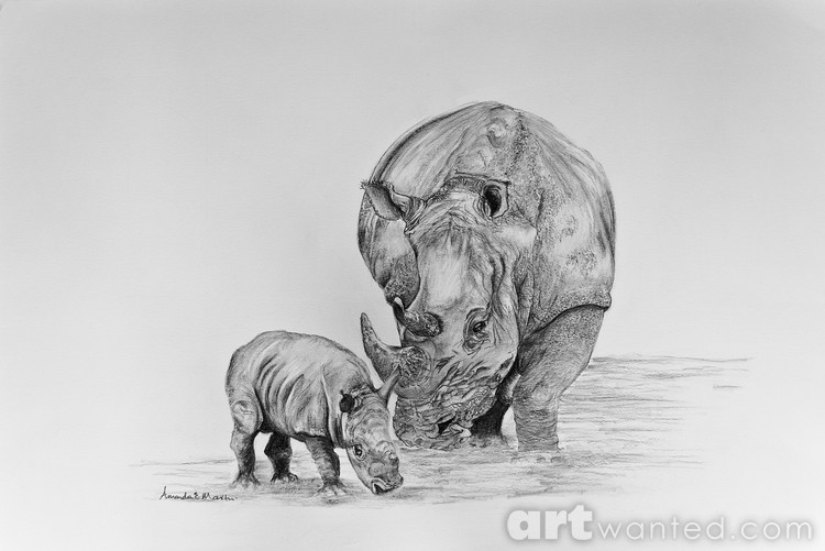 Rhino & Baby in water 120716 0479