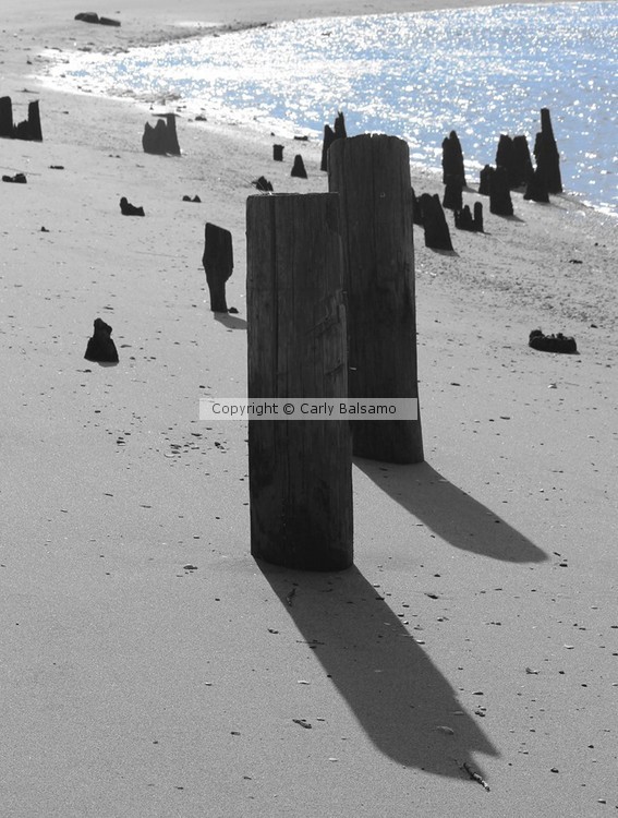 Shadows. Sandy Hook, NJ