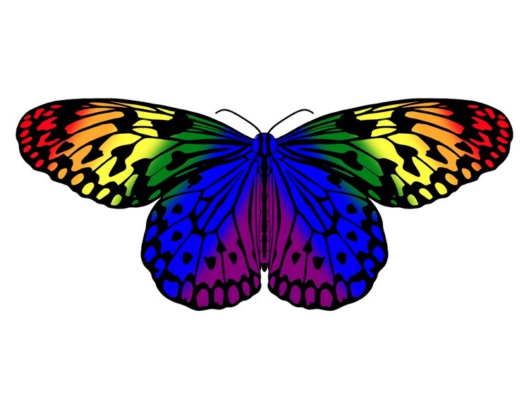 LGBTQIA+ Butterflies:  Rainbow