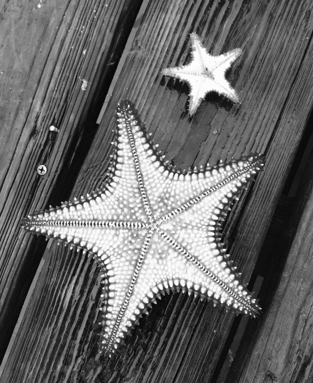 Big star little star