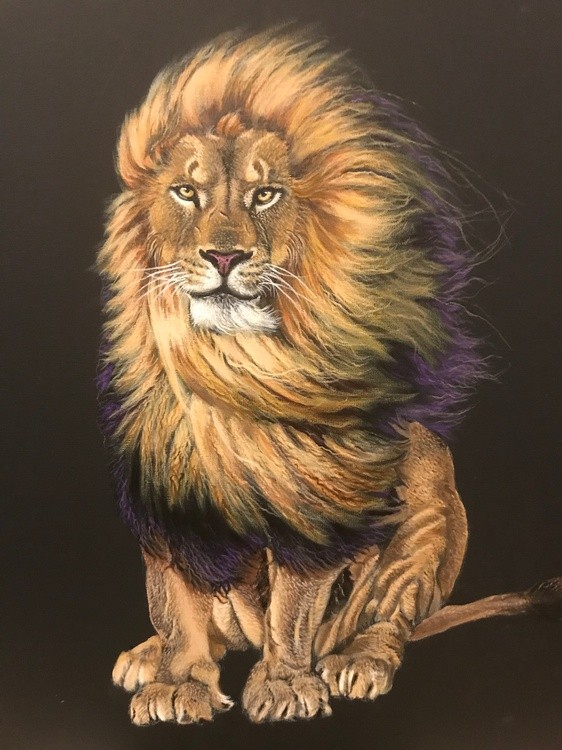 LION IN THE WIND