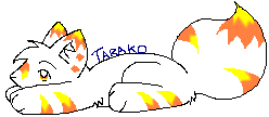 Tarako