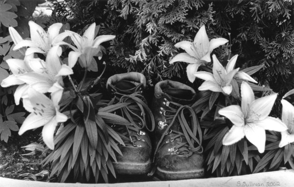 Boots in the Lilies