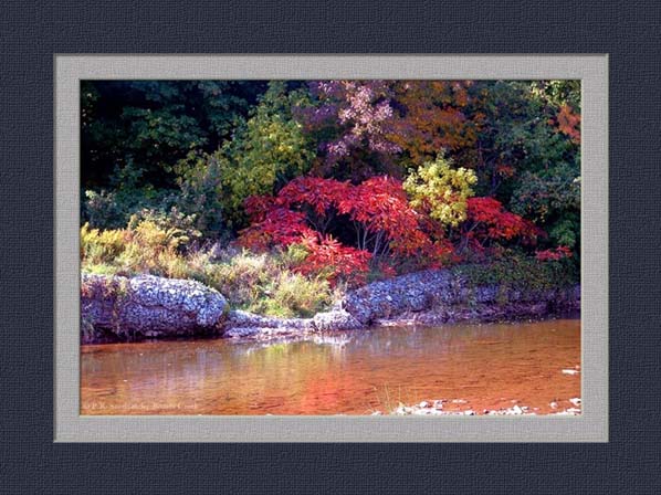 fall colours Ontario