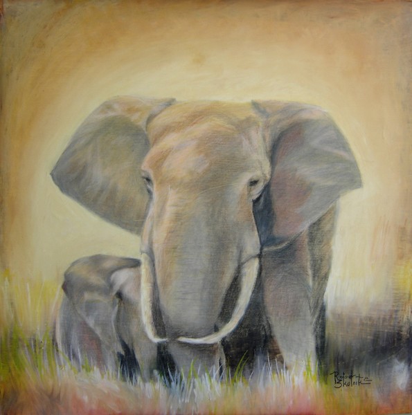 Elephant Morning