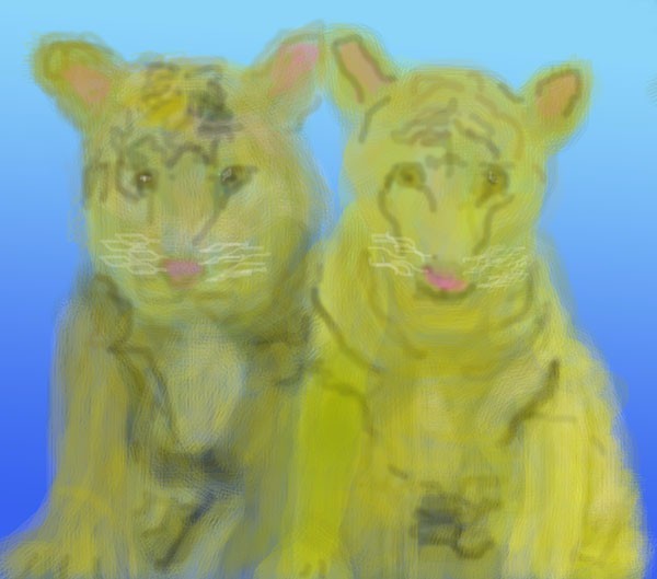 Tiger Twins O672